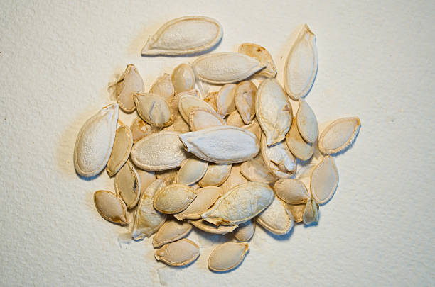 Natural Squash Seed